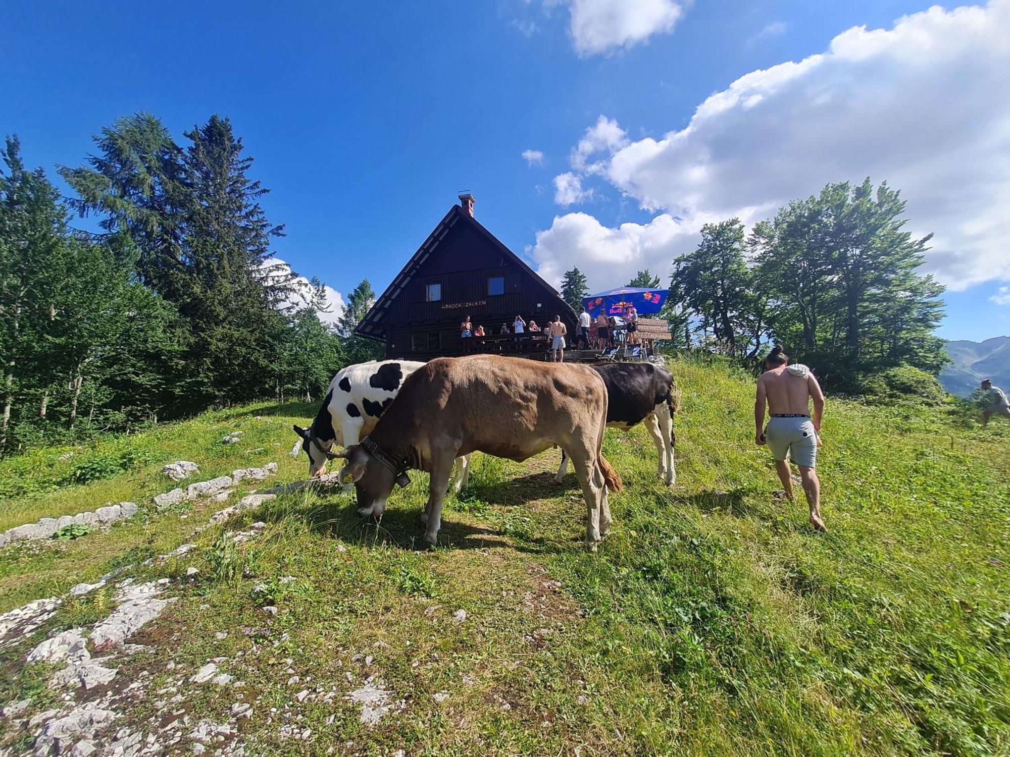 Chalet Burja At Vogel Mountain - Cable Car Access Or Hiking - Not Reachable With Car Bohinj Eksteriør billede